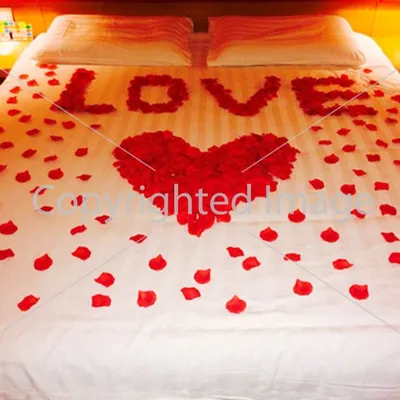 Кровать с лепестками роз в комнате Стоковое Фото - изображение  насчитывающей романско, роскошь: 199642432