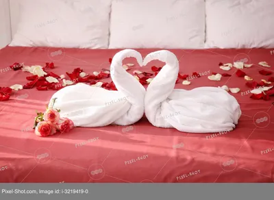 Белые и розовые лепестками роз на белом листе на кровати Стоковое Фото -  изображение насчитывающей бело, лист: 192026394