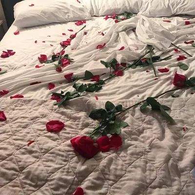Романтичная установка с лепестками розы на кровати Стоковое Фото -  изображение насчитывающей розы, секс: 69676836