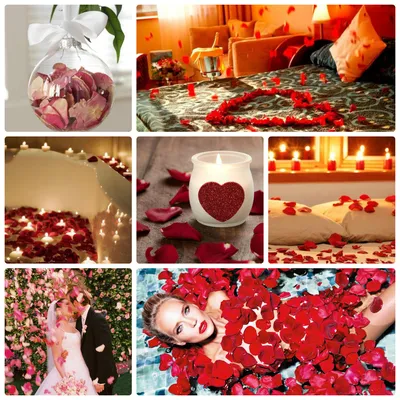 50 романтических и волшебных способов использовать лепестки роз на День  святого Валентина | Сапфировая Кисть: Магия, таро, астрология, и почти  психология | Дзен