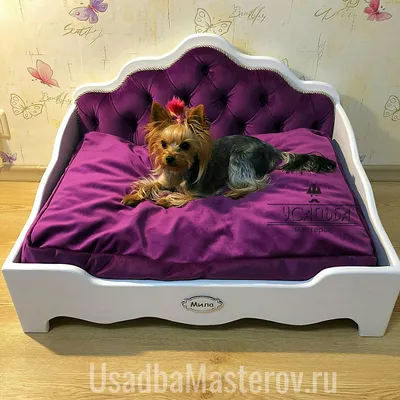 Кроватки для собак фото фотографии