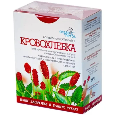 Кровохлебка тупая (Sanguisorba obtusa) - Кровохлёбка тупая