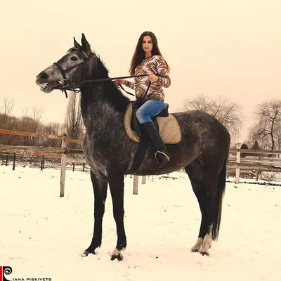 Где пофоткаться в Киеве зимой: красивые и интересные места для фотосессии в  Киеве | Седьмое небо