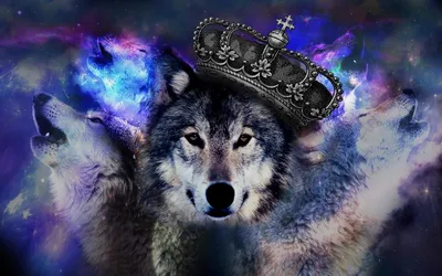Создать мем \"wolf, картина, крутые логотипы фиолетовый волк\" - Картинки -  Meme-arsenal.com