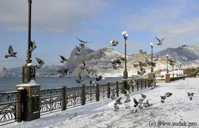 Что посмотреть в Крыму зимой | Делай ноги | Дзен
