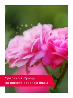 Крымская роза, дождь... :: Игорь Кузьмин – Социальная сеть ФотоКто
