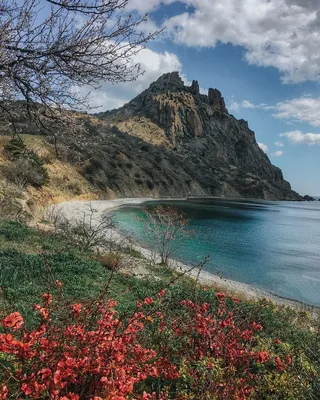 Фотографии пансионата Крымская Весна — Пансионат Крымская Весна — Судак