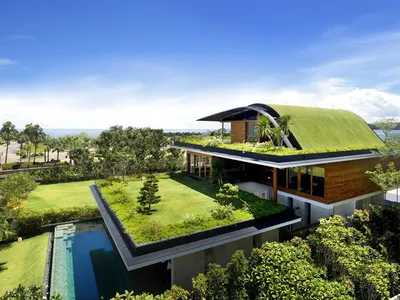 Зеленая крыша»