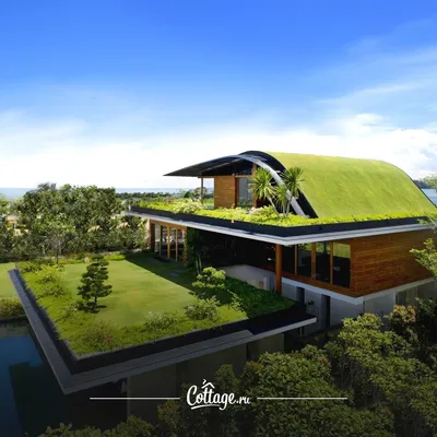 Терраса на крыше: 81 фото — зона отдыха и сад на крыше, дизайн террасы на  крыше дома | Houzz Россия