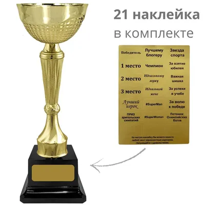 Купить Кубок наградной - RS_3012 в Казани | Диалог Поволжье