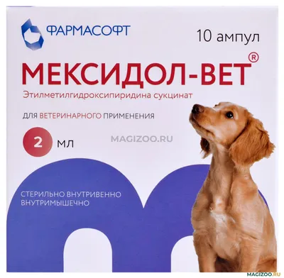 Сколько стоит сделать укол собаке на дому цена в Москве