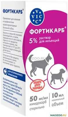 Вакцинация собак - АВВА - ветеринарная клиника в Новокузнецке | Приём  круглосуточно