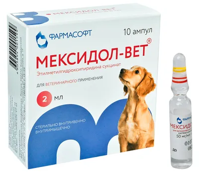 МЕКСИДОЛ-ВЕТ 5 % препарат для лечения и профилактики сердечно-сосудистой и  сердечно-легочной недостаточности 2 мл х 10 ампул раствор для инъекций (1  уп) купить в интернет-магазине по цене от 502 ₽, доставка по Москве