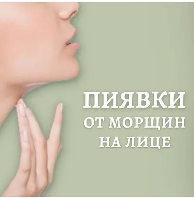Гирудопластика: пиявки от морщин на лице | Ольга Гирудотерапевт | Дзен
