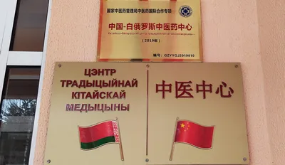 Размеры медицинских пиявок