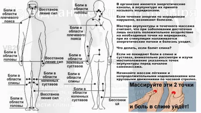 Лечение пиявками в Балашихе🩺| Центр Бубновского