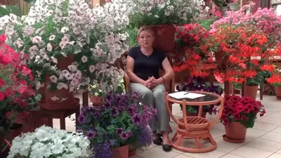 Вазоны и кашпо в саду: Где разместить цветы в вазонах на участке? | Houzz  Россия