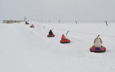 Сафари-парк \"Кудыкина гора\" зимой (46 фото), автор: be-free - фотоальбом -  Отдых с детьми - OSD.RU