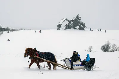 Кудыкина гора в Липецкой области зимой. Мой отзыв | Еленушка.ru | Дзен