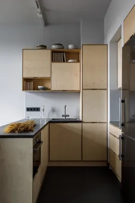 Дизайн вытянутой узкой длинной кухни: 23 примера интерьеров узких кухонь из  российских проектов | Houzz Россия