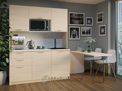 Кухня с микроволновкой (75 фото)