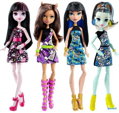 Кукла Школа Монстров Monster High (Монстр Хай) Главные персонажи DTD90  купить в Екатеринбурге - Neo Baby