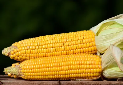 Очень вкусные стручки кукурузы на фото