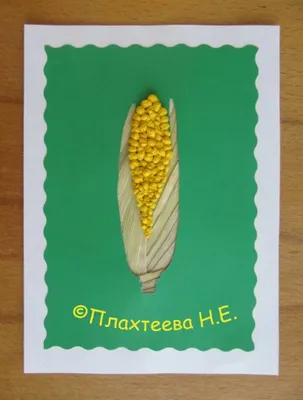 Варианты кукурузы в разных форматах: jpg, png, webp