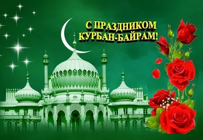 Поздравление муфтия Москвы с праздником Курбан-байрам — Духовное управление  мусульман города Москва