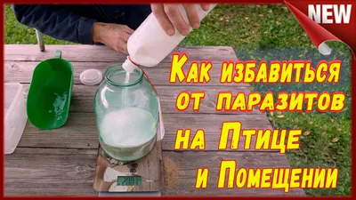 ПероЧист — лучшее средство для защиты птиц!