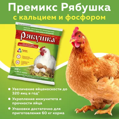 Куриные клещи Dermanyssus gallinae на фото от нашей зрительницы - YouTube