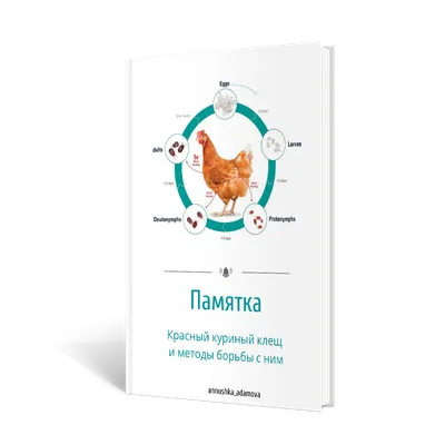 Супер Макро Крупным Планом Ceratophyllus Gallinae Известный Как Курица Блох  Или Европейских Куриных Блох Это Эктопаразит Птиц Которые Обычно Напад —  стоковые фотографии и другие картинки Блоха - iStock