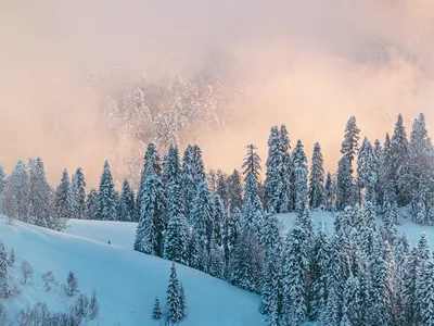 Горнолыжный курорт Роза Хутор, Сочи | Titam.ru