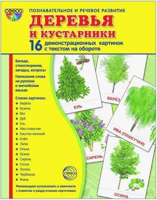 Морозостойкие декоративные кустарники для сада - использование в  ландшафтном дизайне