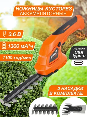 Электро кусторез, Кусторез ручной, Электротриммер садовый LEX сетевой  1450W/ 460мм, AVI (ID#1948482325), цена: 2464 ₴, купить на Prom.ua