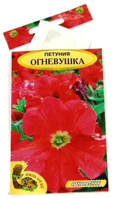 Петуния крупноцветковая кустовая. Цена 150 тенге. Есть махровая. Ампельная.  Вегетативная. Саженцы роз. Многолетники. Справки по телефону 8… | Instagram