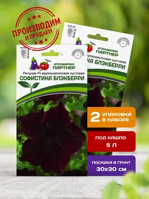 Основные виды и сорта кустовой петунии – всех расцветок, форм и размера!