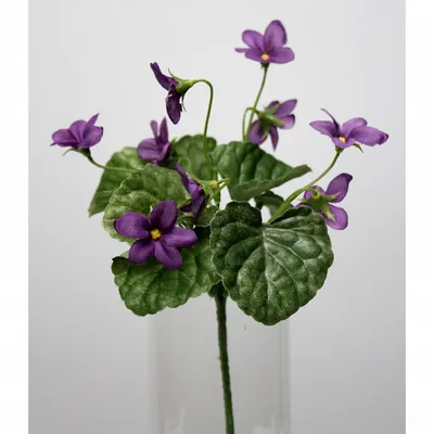 S6029 Петуния кустовая Grandiflora TriTunia Red 10шт. - купить в Москве в  интернет-магазине
