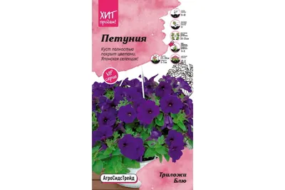 Петуния куст ярко-сиреневый 20.1086PU – купить в Москве