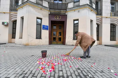 Кутузовский Дворец бракосочетания | Управление ЗАГС Москвы | Дзен