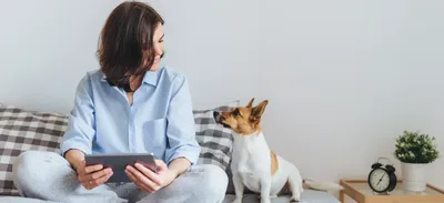 Маленькие породы собак для квартиры: обзор и секреты содержания собак