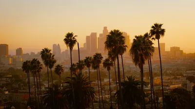 100+ Los Angeles Wallpapers | Download Free Images On Unsplash