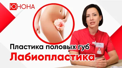 Лабиопластика (коррекция половых губ) - вся информация