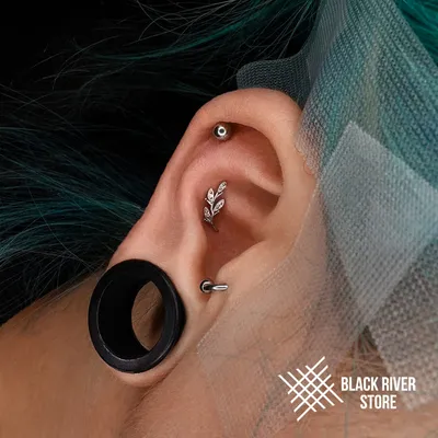 Пирсинг губы (Лабрет) (The Labret Piercing) / Каталог тату-салонов и  мастеров
