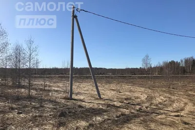 Чайка – оздоровительный лагерь, Ивановская обл.. Путевки в детский лагерь  на 2024 год