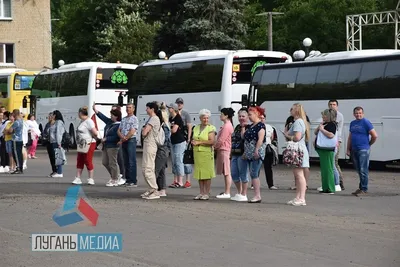 Оздоровительный центр «Ромашка» на родине Чехова в Таганроге примет на  отдых 750 детей ДНР - Общество - ДАН