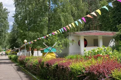 Детский лагерь \"Ромашка\" в Таганроге. Услуги на Кидабр