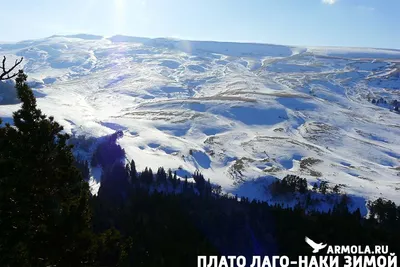 Плато лаго наки адыгея зимой (73 фото) - 73 фото