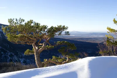 Зима — близко: Мороз и солнце, день чудесный в Адыгее, отзыв от туриста  AnastasiaJulia на Туристер.Ру