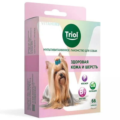 ROYAL CANIN корм для собак Mini Adult